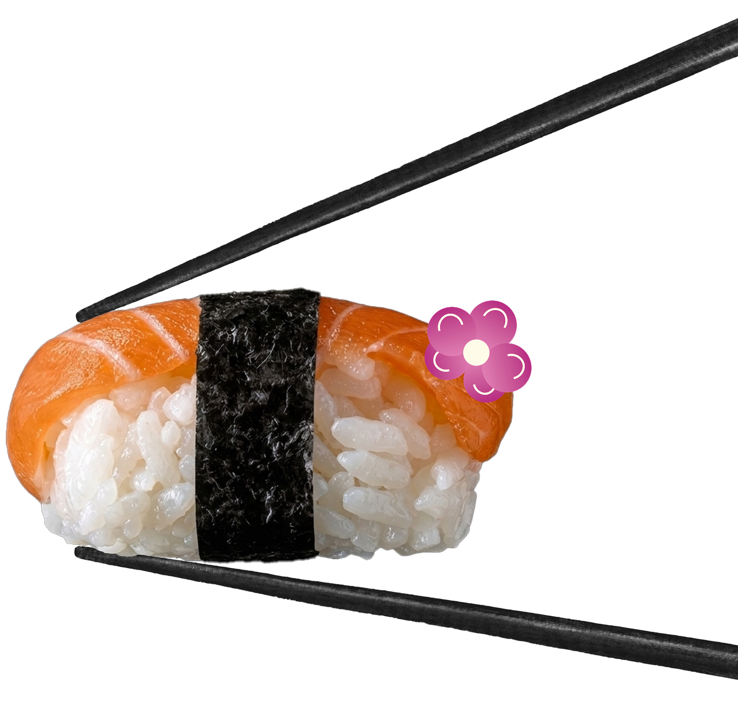 image of sashimi roll with vector orchid flower